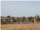 Allot 1-19 Lipson Heights, Tumby Bay SA 5605