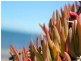 Allot 1-19 Lipson Heights, Tumby Bay SA 5605