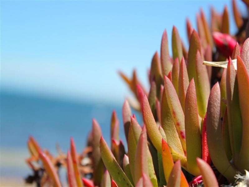 Allot 1-19 Lipson Heights, Tumby Bay SA 5605