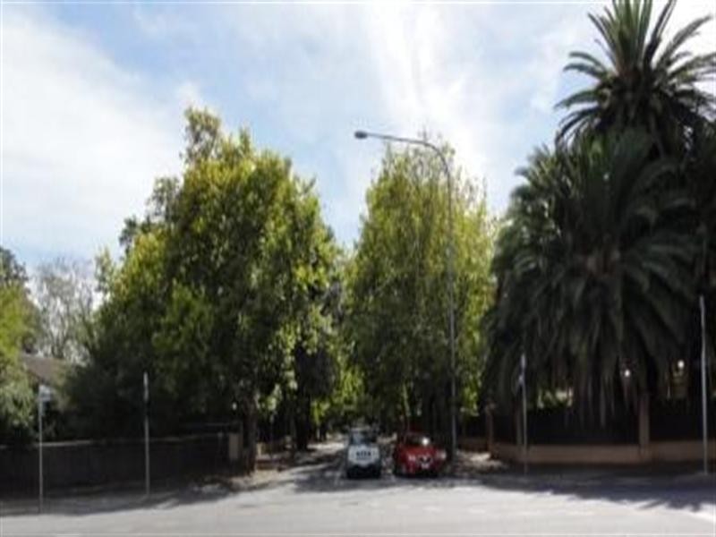 8/123A Cross Road, Hawthorn SA 5062