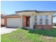 11 Pyrossia Street, Mount Annan NSW 2567