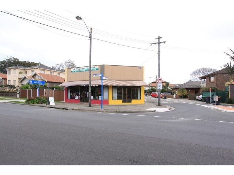 123 Holden Street, Ashbury NSW 2193