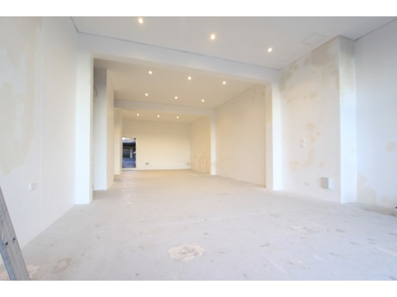 9 Crystal Street, Petersham NSW 2049