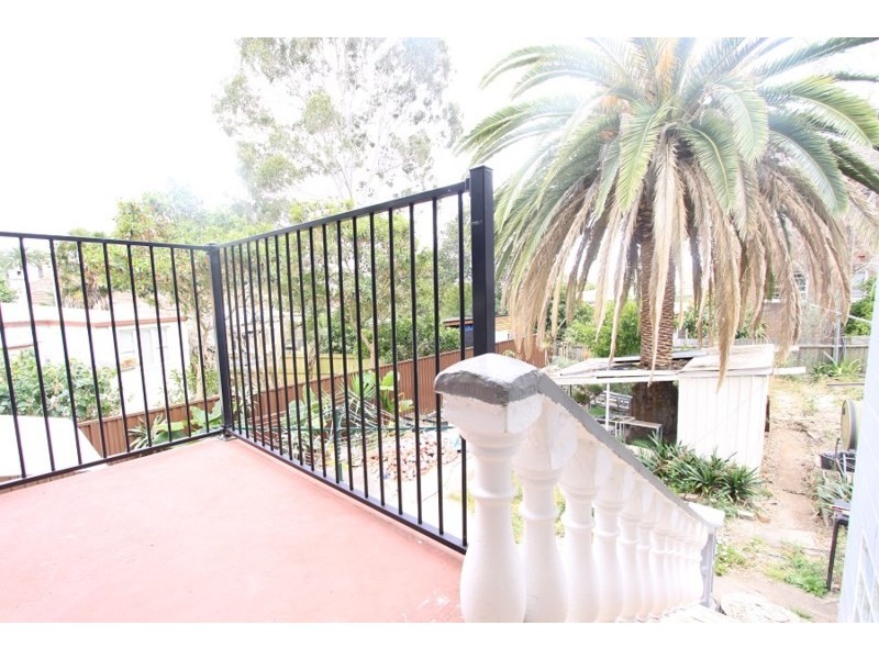 3/53 Gower Street, Ashfield NSW 2131