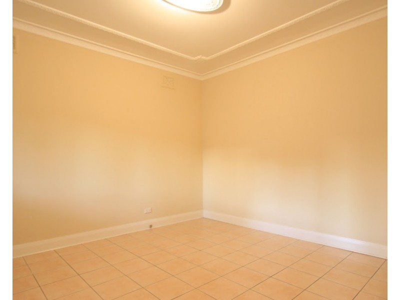 44 Edwin Street South, Croydon NSW 2132