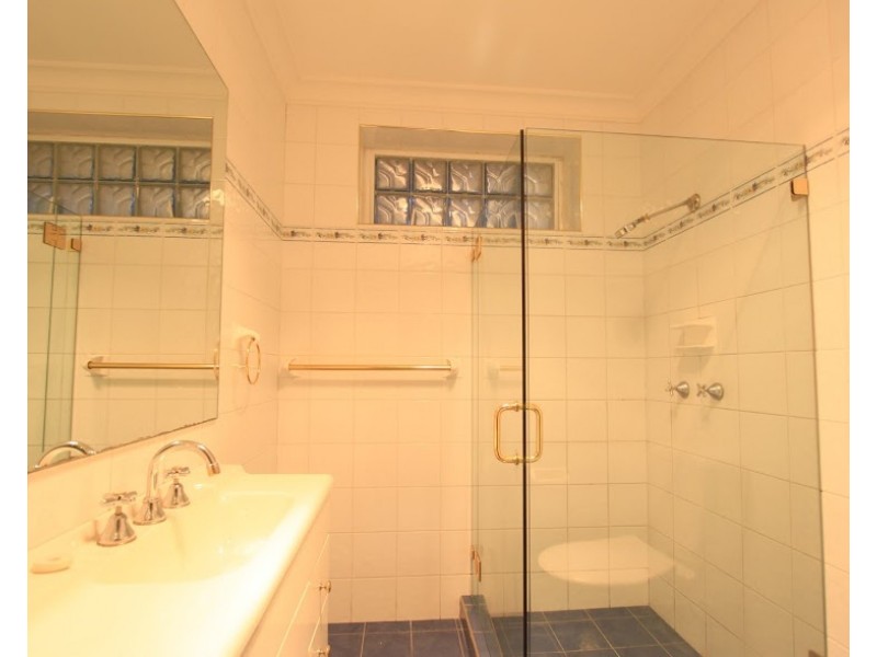 44 Edwin Street South, Croydon NSW 2132