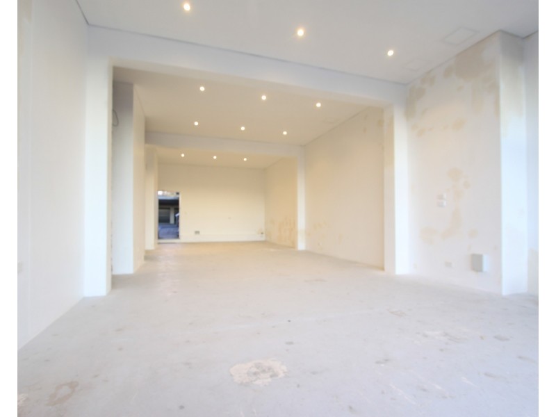 9 Crystal Street, Petersham NSW 2049