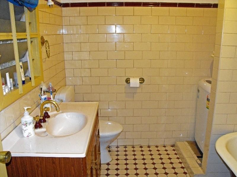 53 Edith Street, Leichhardt NSW 2040