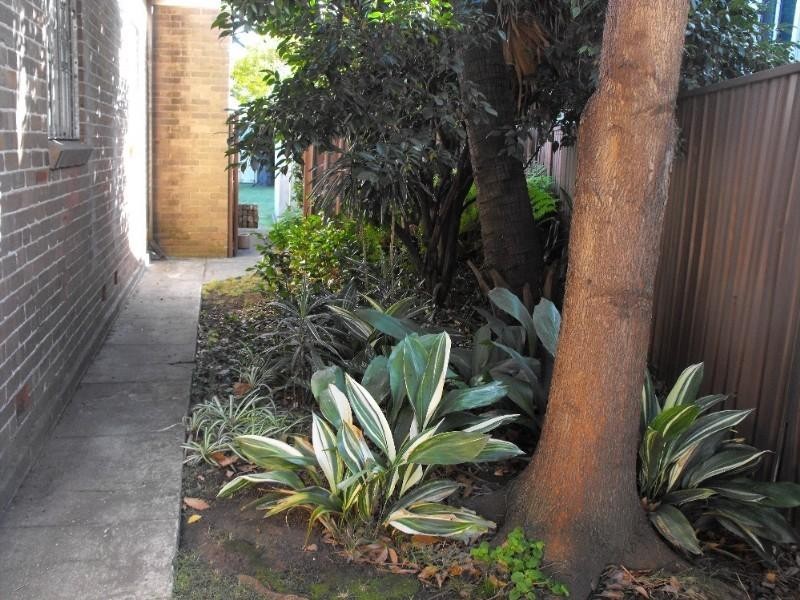 65 Evaline Street, Campsie NSW 2194