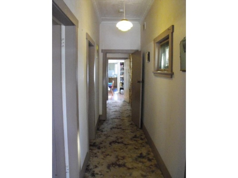 65 Evaline Street, Campsie NSW 2194