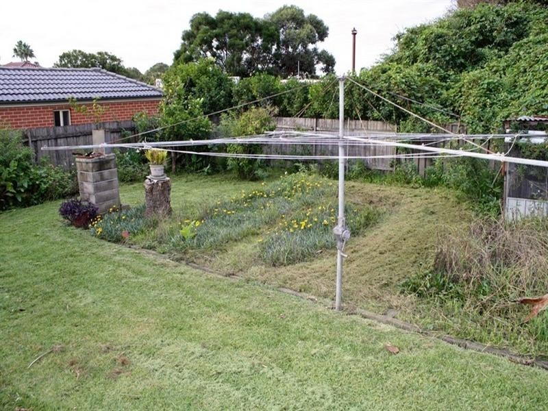 46 Brighton Street, Croydon NSW 2132