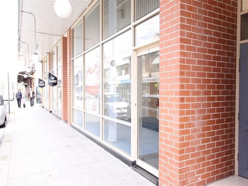 3/100 Edwin Street N, Croydon NSW 2132