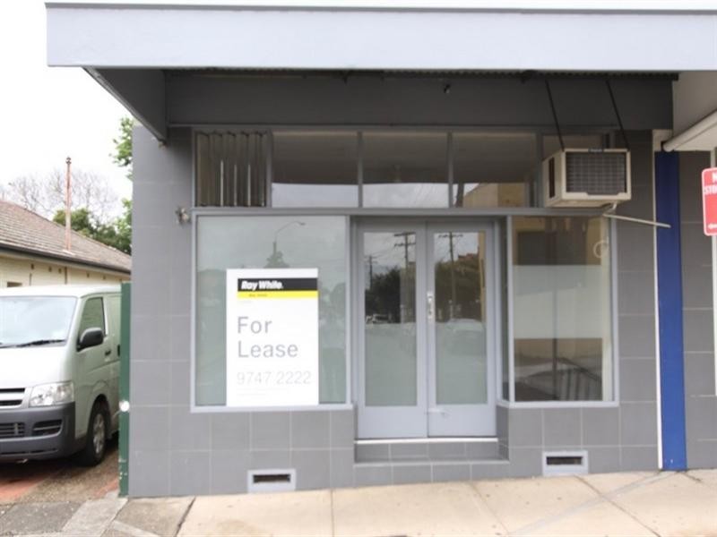 202 Elizabeth Street, Croydon NSW 2132