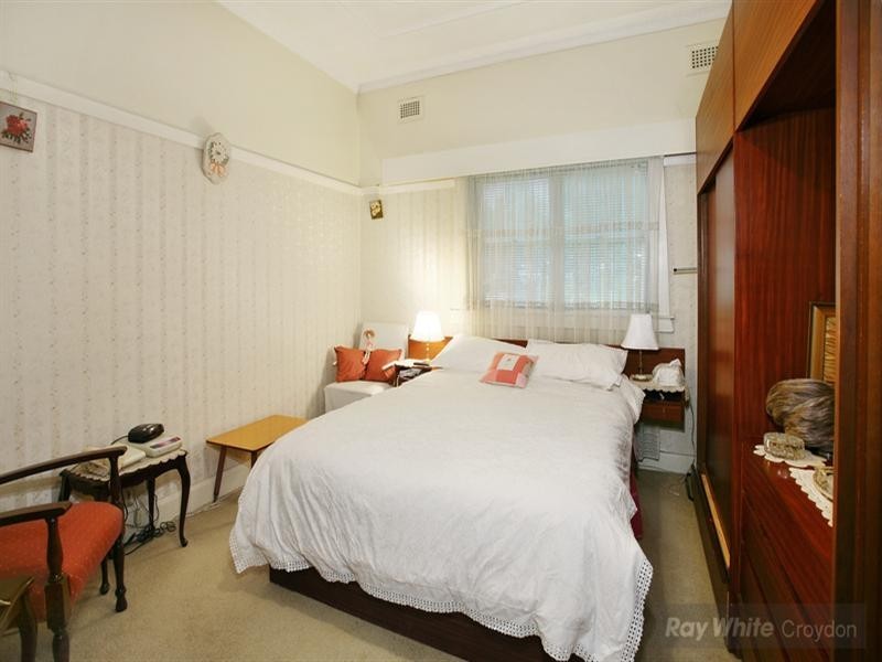 29 ROYCE Avenue, Croydon NSW 2132