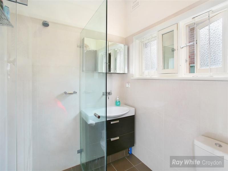 29 Holborow Street, Croydon NSW 2132