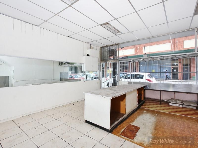105 Edwin Street North, Croydon NSW 2132