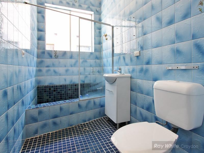 6 Paisley Road, Croydon NSW 2132