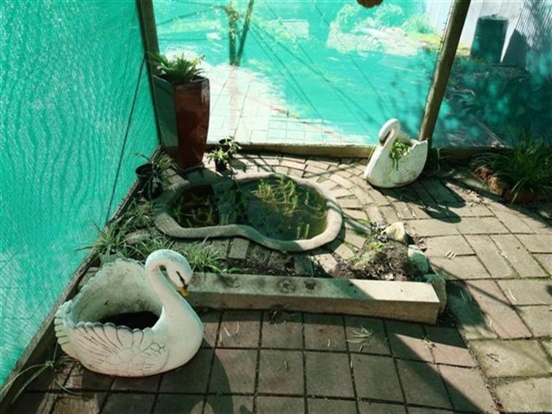 20 Barns Avenue, Highbury SA 5089