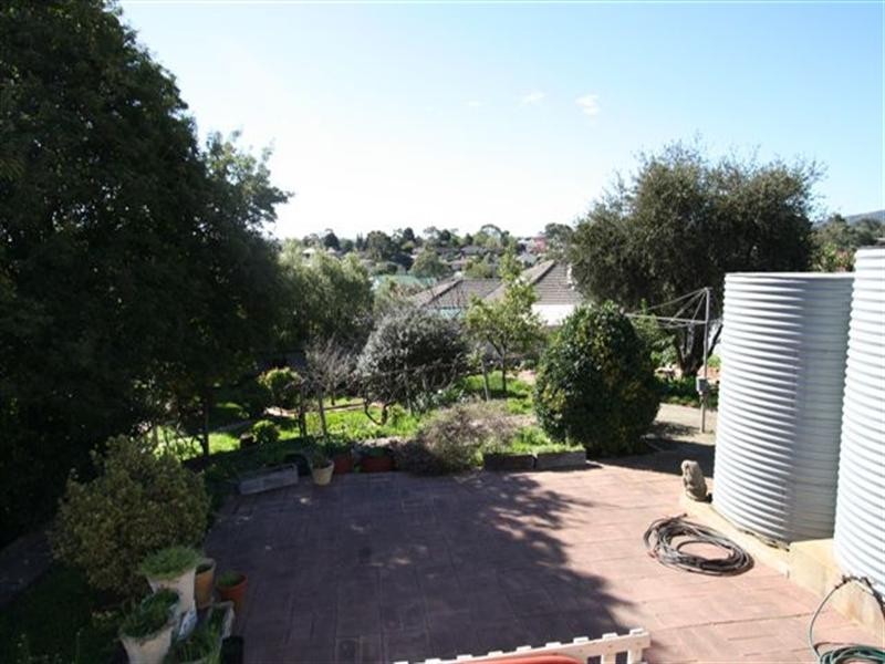 20 Barns Avenue, Highbury SA 5089