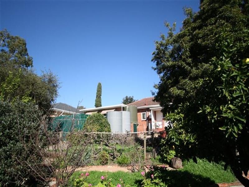 20 Barns Avenue, Highbury SA 5089