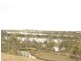 Blanchetown SA 5357