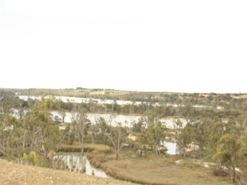 Blanchetown SA 5357