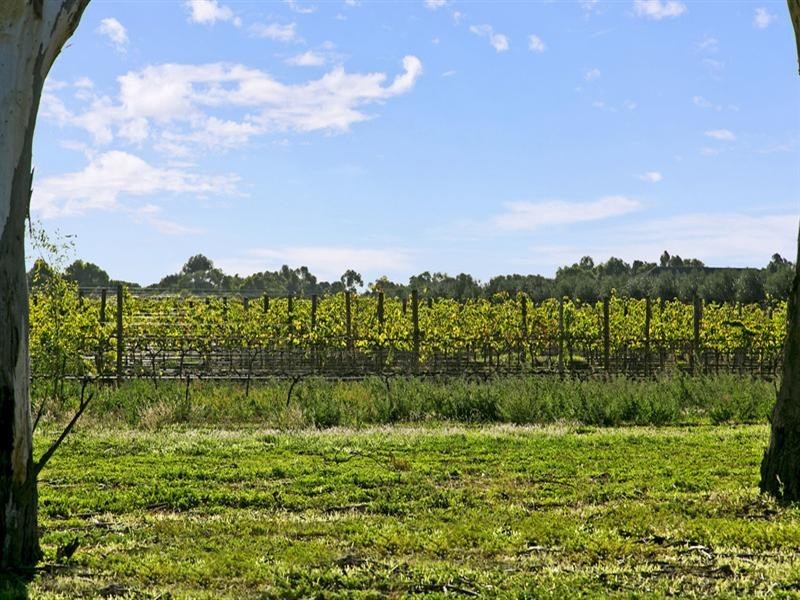 35 Coonawarra Avenue, Andrews Farm SA 5114