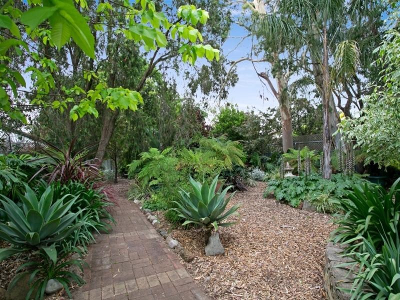 42 Honeysuckle Drive, Hope Valley SA 5090