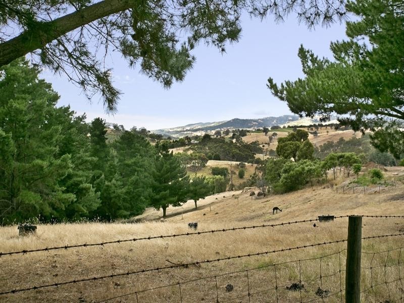 39 Amberdale Road, Houghton SA 5131