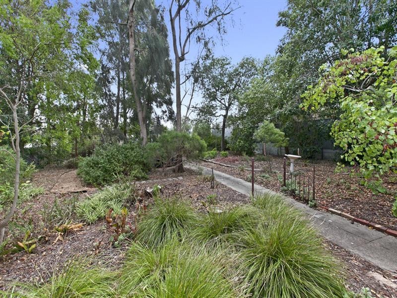 41 William Street, Tea Tree Gully SA 5091