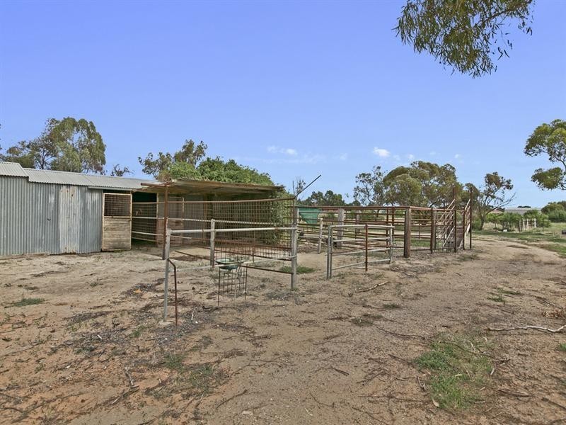Lot 151 Trim Road, Two Wells SA 5501