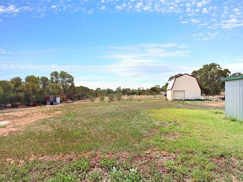 11 Palomino Court, Roseworthy SA 5371