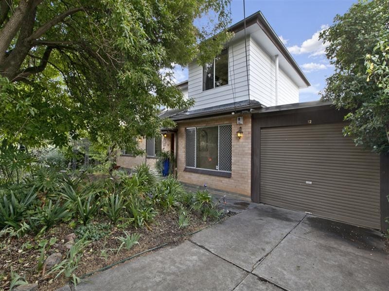 12 Faehse Street, Modbury SA 5092