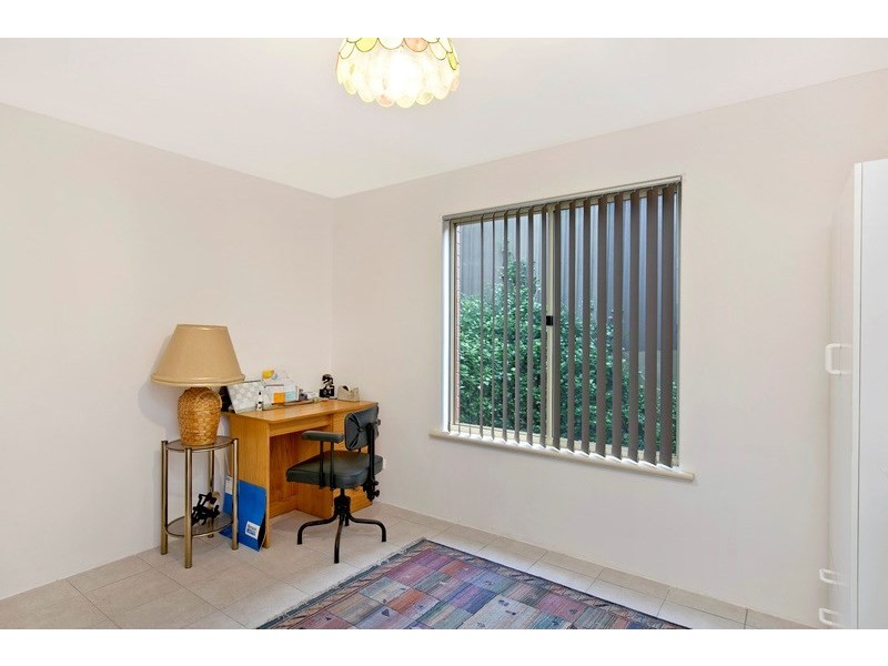 41 Fox Avenue, Athelstone SA 5076