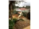 6 Gosling Court, Williamstown SA 5351