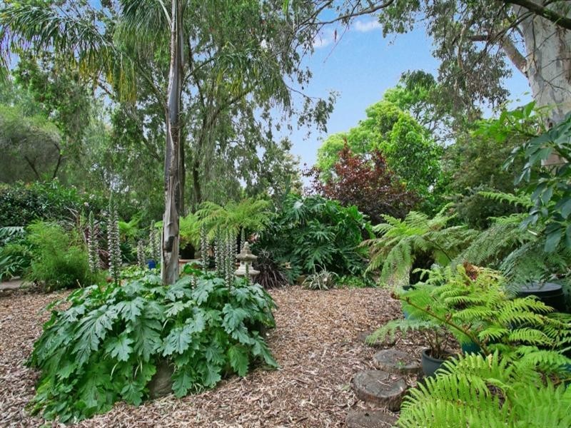 42 Honeysuckle Drive, Hope Valley SA 5090