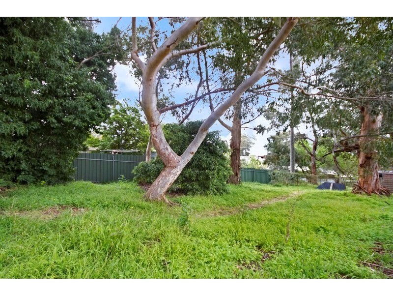 12 Wattle Crescent, Tea Tree Gully SA 5091