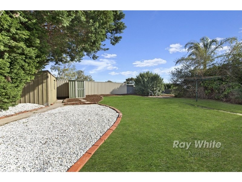 19 Launceston Avenue, Banksia Park SA 5091