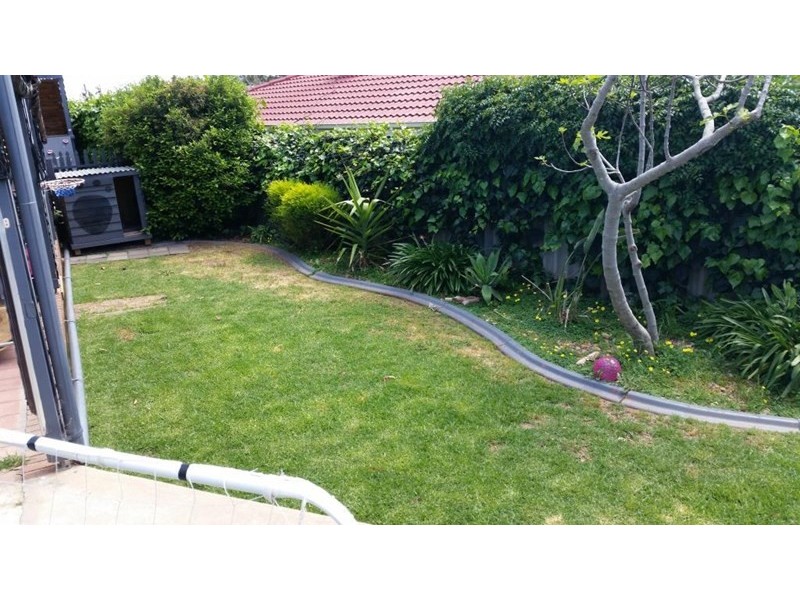 29 Kurrajong Street, Surrey Downs SA 5126