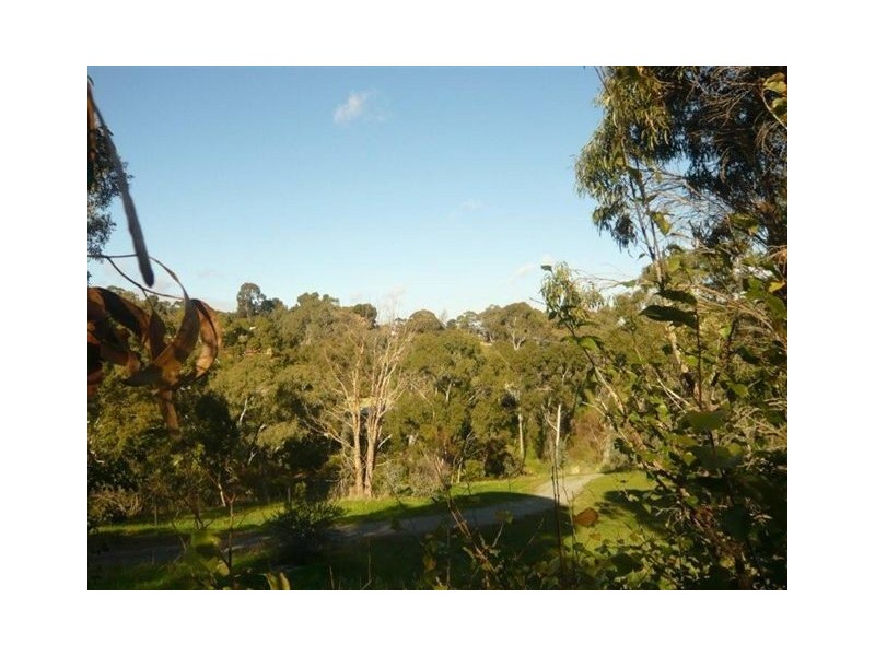 3 Pitanda Road, Banksia Park SA 5091