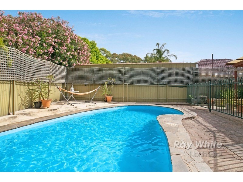 13 Wahroonga Avenue, Valley View SA 5093