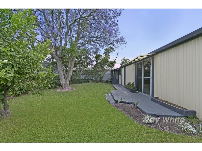 16 Selkirk Avenue, Clearview SA 5085