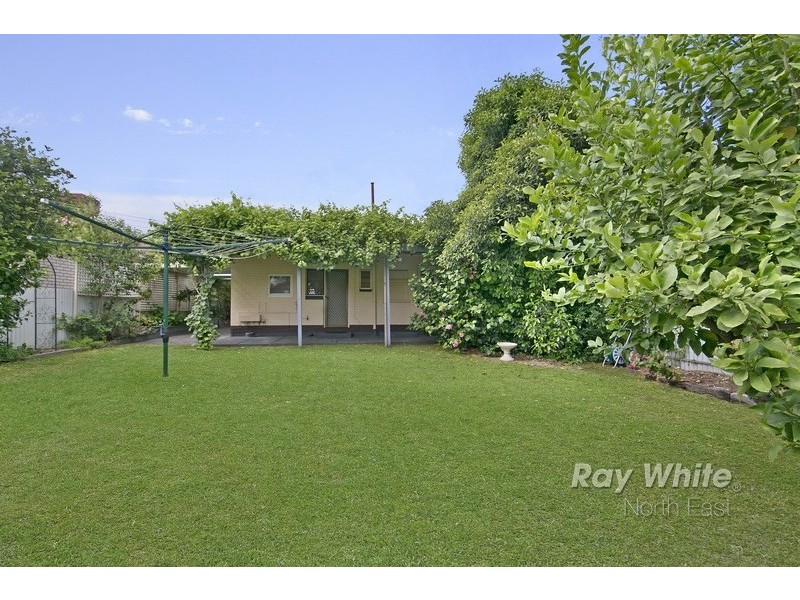 16 Selkirk Avenue, Clearview SA 5085