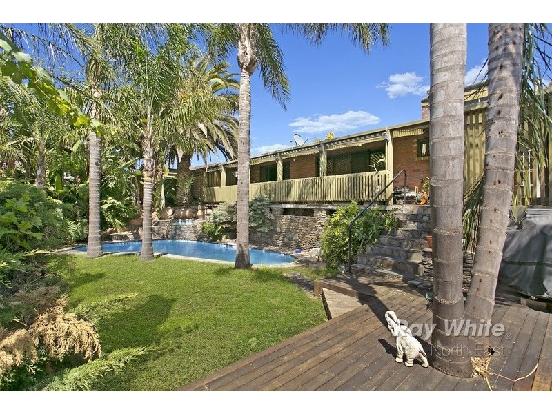 15 Nankeen Street, Modbury Heights SA 5092