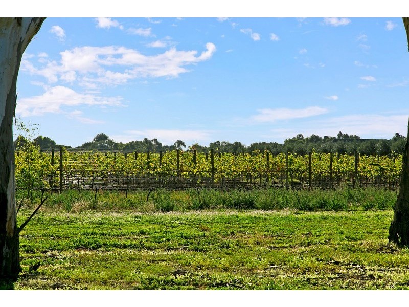 35 Coonawarra Avenue, Andrews Farm SA 5114