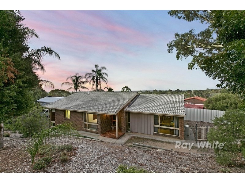 31 Wattle Crescent, Tea Tree Gully SA 5091
