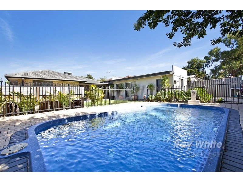 55 Pegasi Avenue, Hope Valley SA 5090