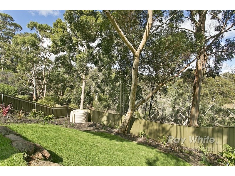 13 Pitanda Road, Banksia Park SA 5091