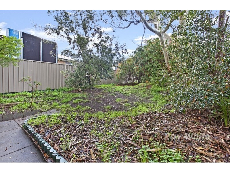 5/5 White Avenue, Tea Tree Gully SA 5091
