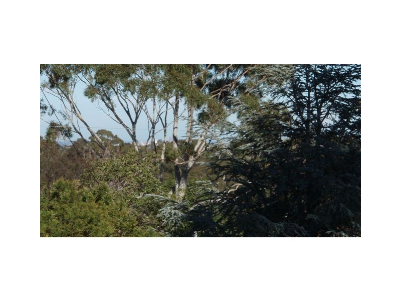 25 Taworri Road, Fairview Park SA 5126